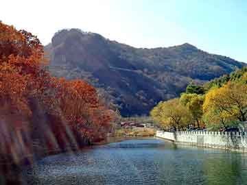 管家婆黑白马报图库，女医在古代